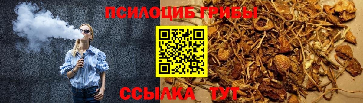 Псилоцибиновые грибы GOLDEN TEACHER  Вход с VPN  Сокол 