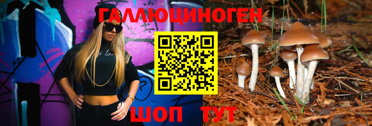 Псилоцибиновые грибы MAGIC MUSHROOMS Сокол