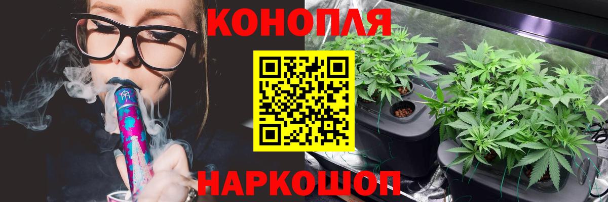 Конопля Ganja Сокол